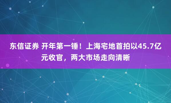 东信证券 开年第一锤！上海宅地首拍以45.7亿元收官，两大市场走向清晰