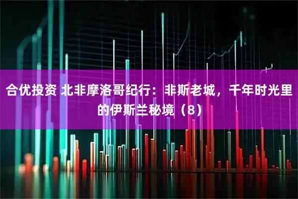 合优投资 北非摩洛哥纪行：非斯老城，千年时光里的伊斯兰秘境（8）